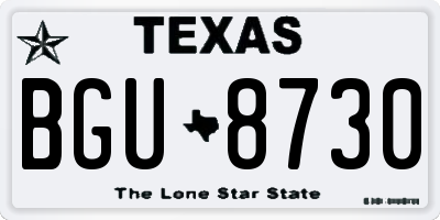 TX license plate BGU8730