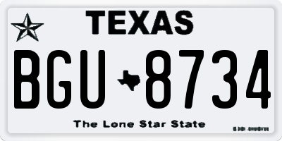 TX license plate BGU8734