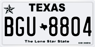 TX license plate BGU8804