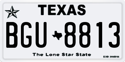 TX license plate BGU8813