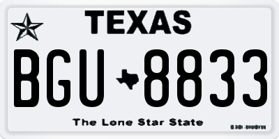 TX license plate BGU8833