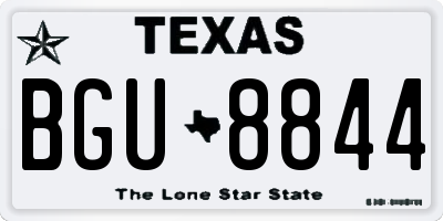 TX license plate BGU8844
