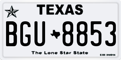 TX license plate BGU8853