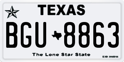 TX license plate BGU8863