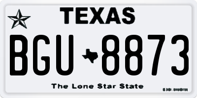 TX license plate BGU8873