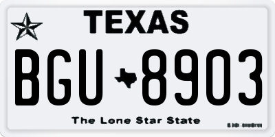 TX license plate BGU8903