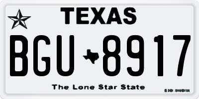 TX license plate BGU8917