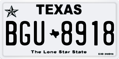 TX license plate BGU8918