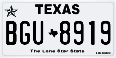 TX license plate BGU8919