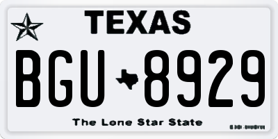 TX license plate BGU8929