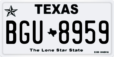 TX license plate BGU8959