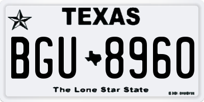TX license plate BGU8960