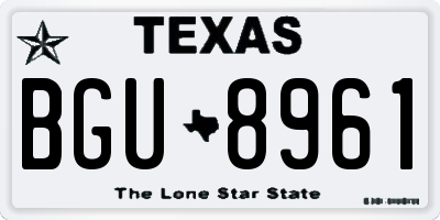 TX license plate BGU8961