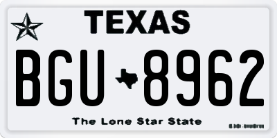 TX license plate BGU8962