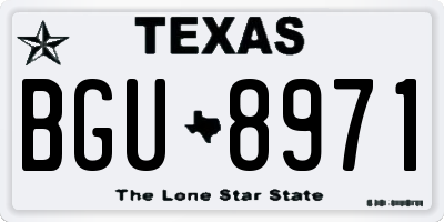 TX license plate BGU8971