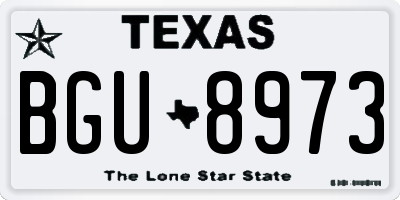 TX license plate BGU8973
