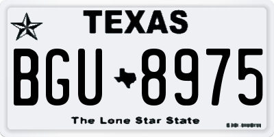 TX license plate BGU8975