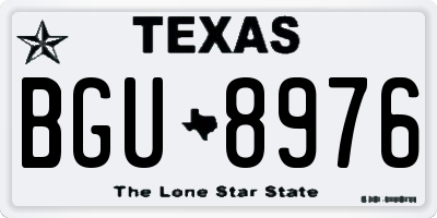 TX license plate BGU8976