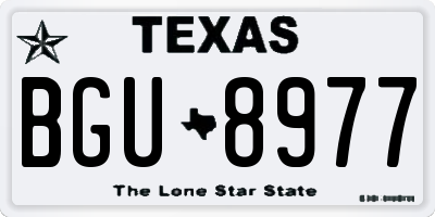 TX license plate BGU8977