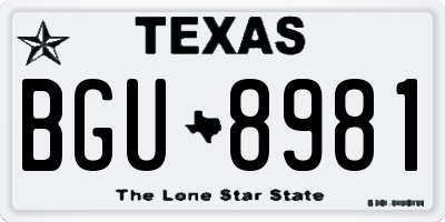 TX license plate BGU8981
