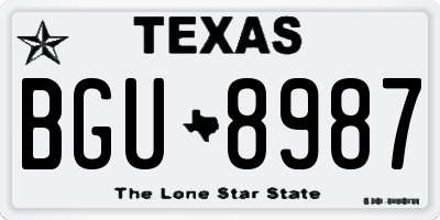 TX license plate BGU8987