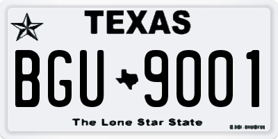 TX license plate BGU9001