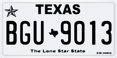 TX license plate BGU9013