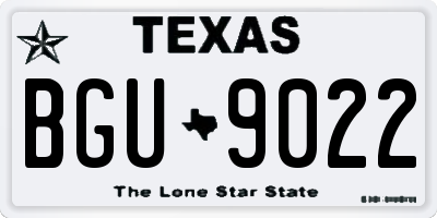 TX license plate BGU9022