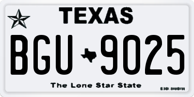 TX license plate BGU9025