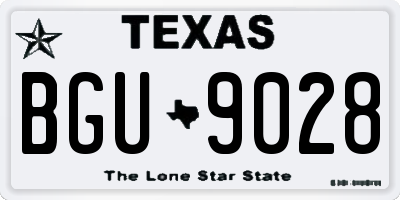 TX license plate BGU9028