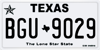 TX license plate BGU9029