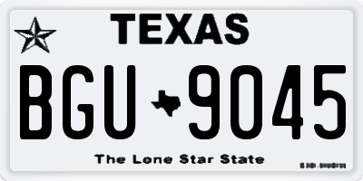 TX license plate BGU9045