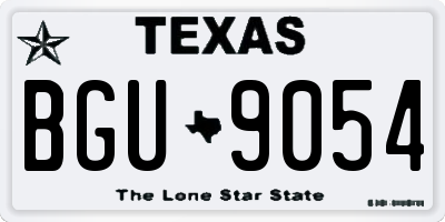 TX license plate BGU9054