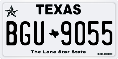 TX license plate BGU9055