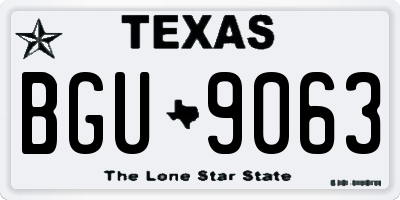 TX license plate BGU9063