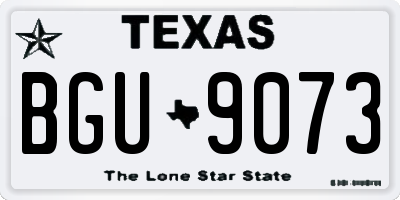 TX license plate BGU9073