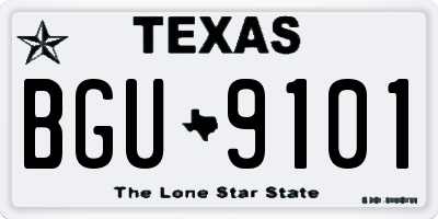 TX license plate BGU9101