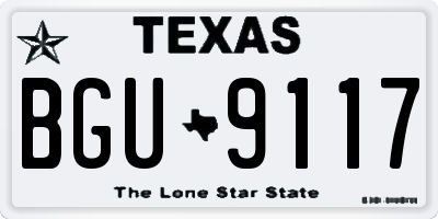 TX license plate BGU9117