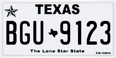 TX license plate BGU9123