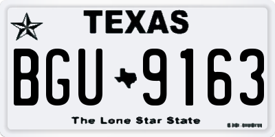 TX license plate BGU9163