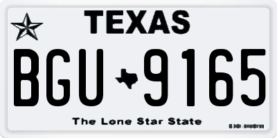 TX license plate BGU9165