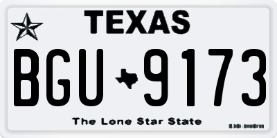 TX license plate BGU9173