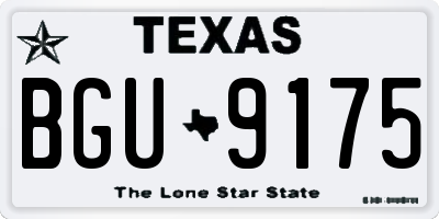 TX license plate BGU9175