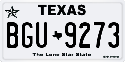 TX license plate BGU9273