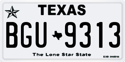 TX license plate BGU9313