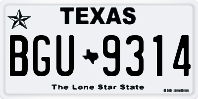 TX license plate BGU9314