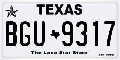 TX license plate BGU9317