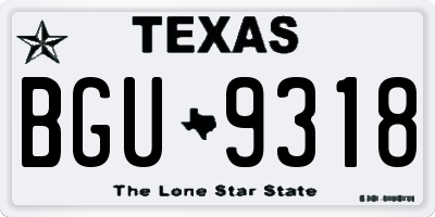 TX license plate BGU9318