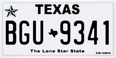 TX license plate BGU9341