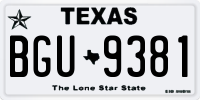 TX license plate BGU9381